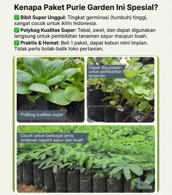 Info Produk 3