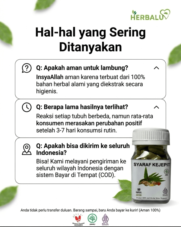 Testimoni Pelanggan