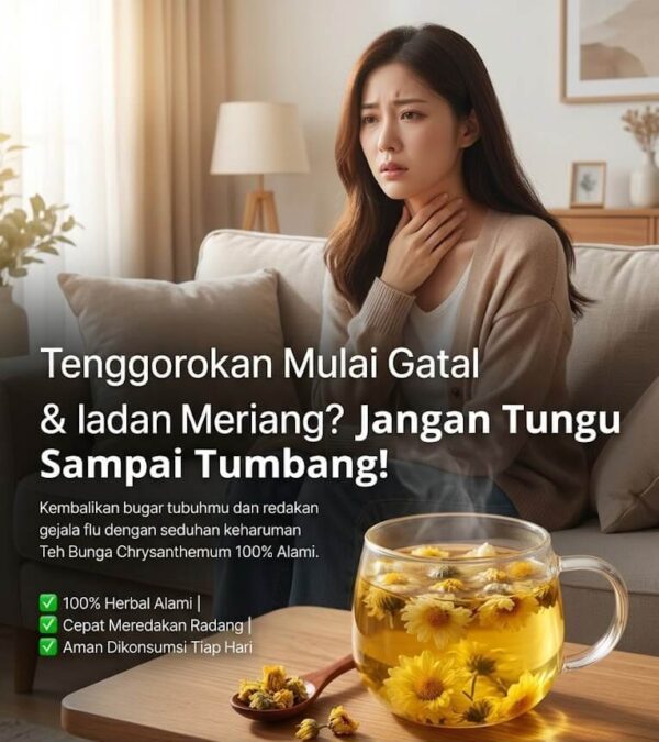 Chrysanthemum Teh Bunga