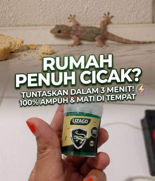 Lizago Racun Cicak