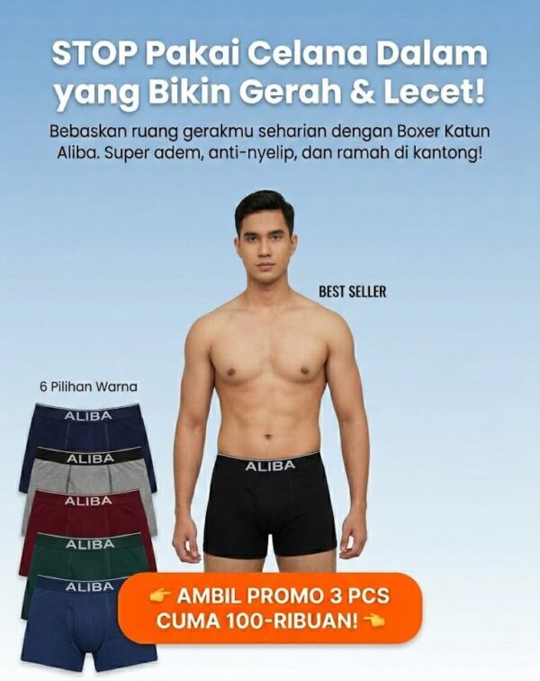 Boxer Aliba Hero