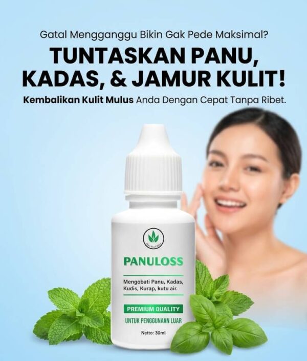 Solusi Panuloss