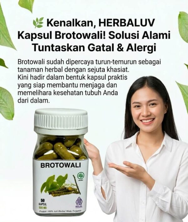 Solusi Kapsul Brotowali