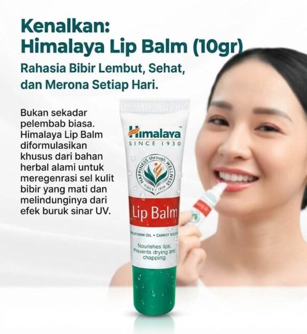 Solusi Himalaya Lip Balm