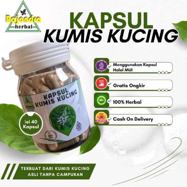 Solusi Kapsul Kumis Kucing