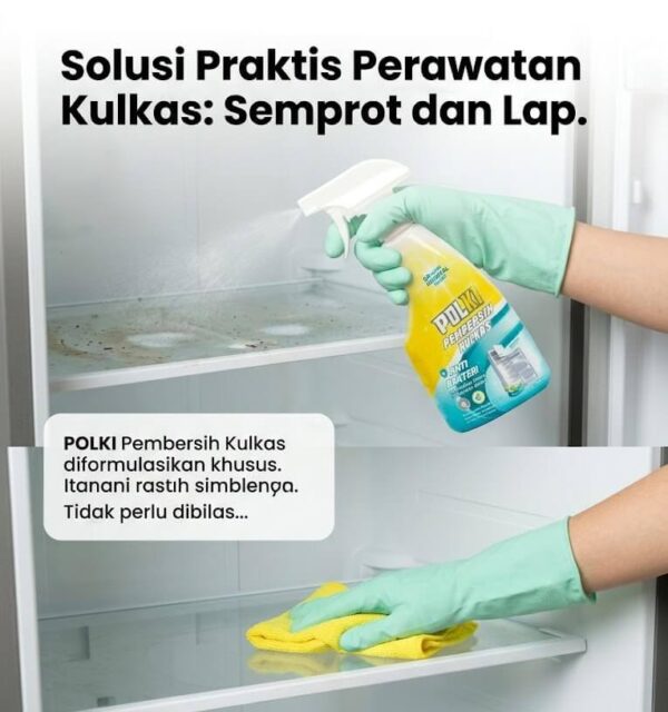 Polki Solution 2