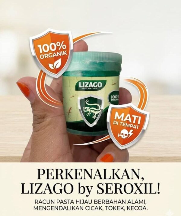 Solusi Lizago