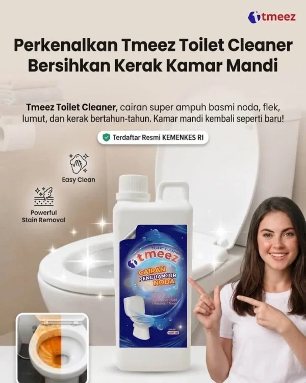 Solusi Tmeez Cleaner