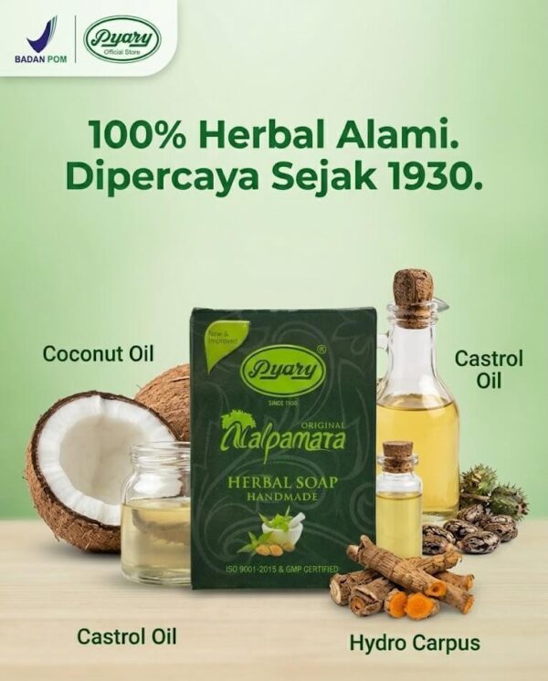 Kandungan Pyary
