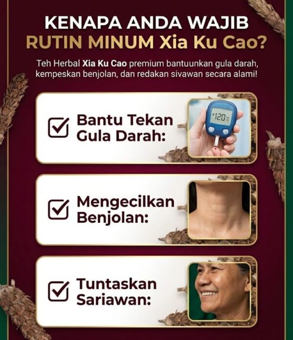 Manfaat Teh Herbal Xia Ku Cao