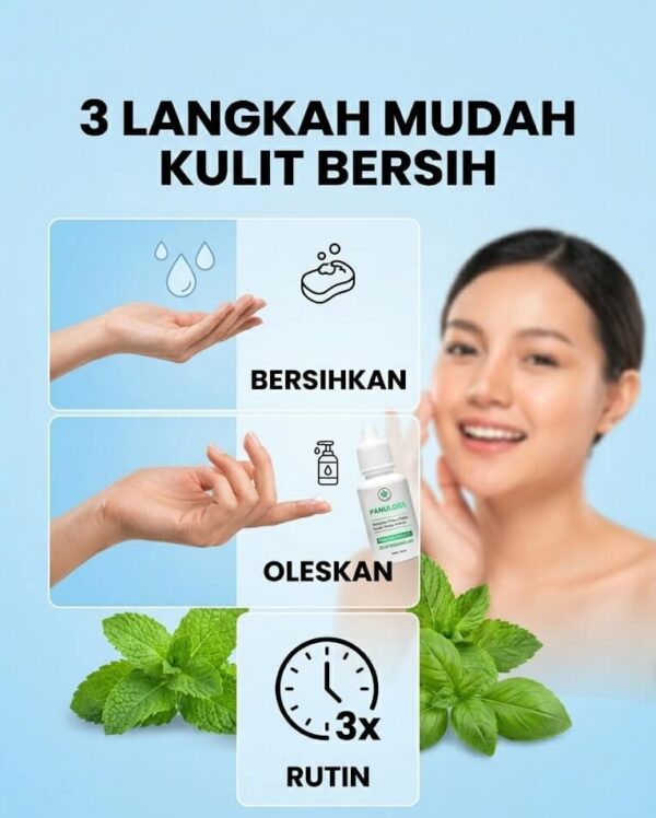 Panduan Pakai 2