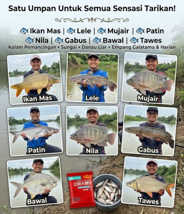 Testimoni Pelanggan