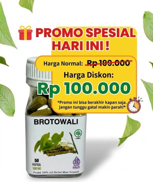 Promo Harga Kapsul Brotowali