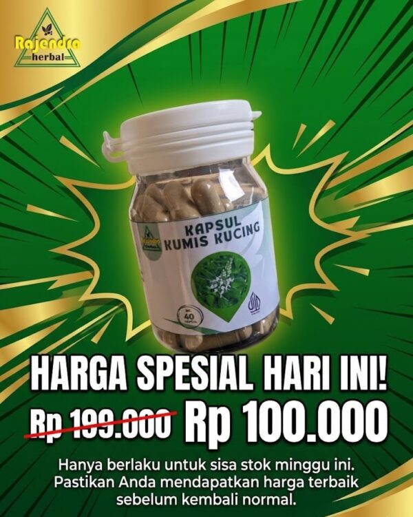 Promo Harga