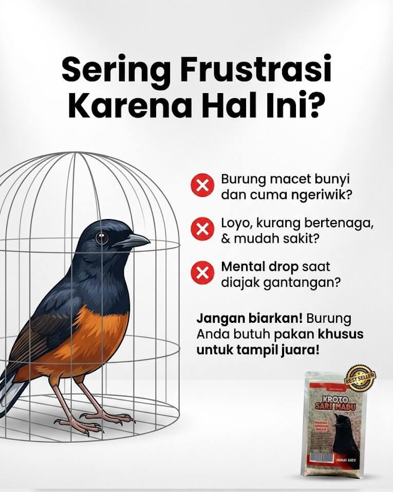 Masalah Burung Macet Bunyi