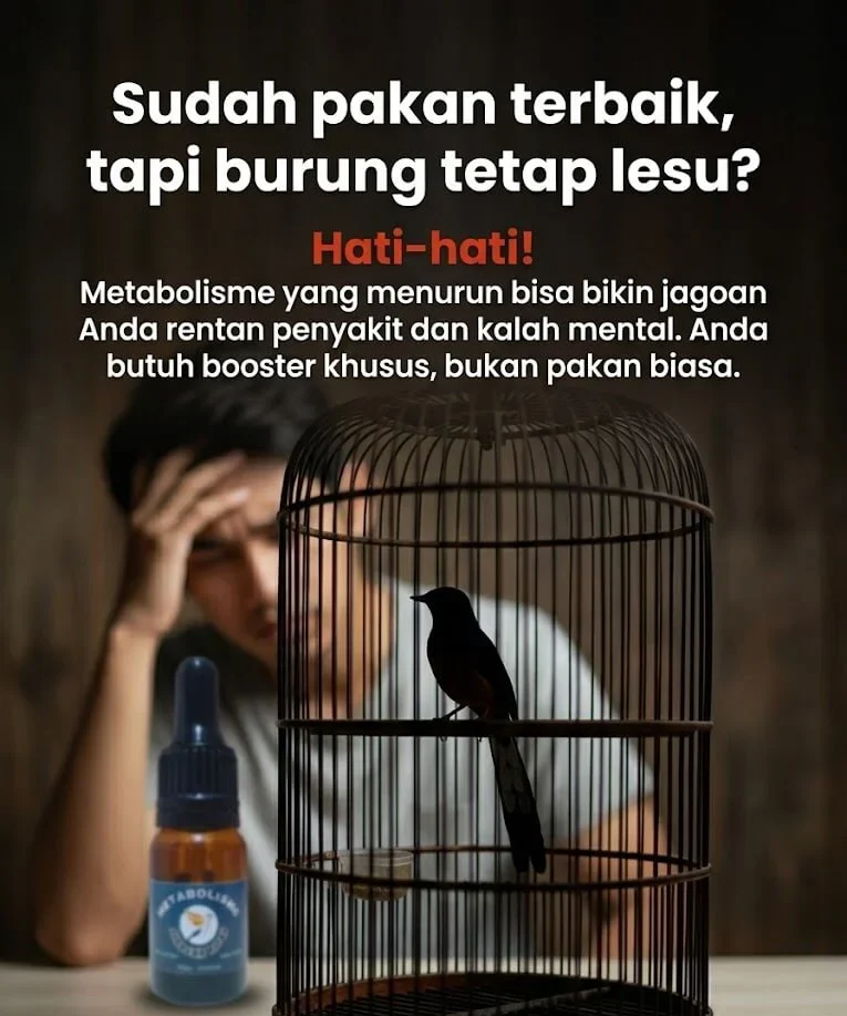 Masalah Burung Macet Bunyi