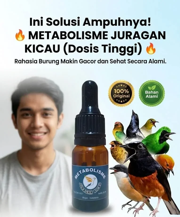 Solusi Metabolisme Juragan Kicau