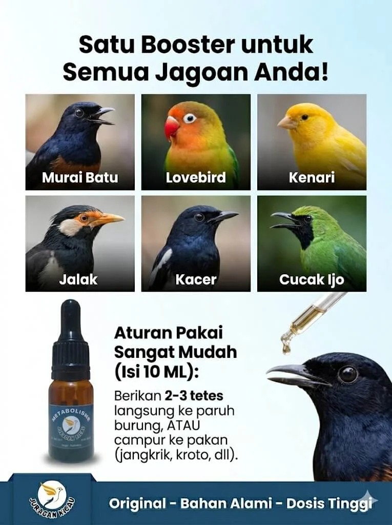 Detail Botol Metabolisme Juragan Kicau