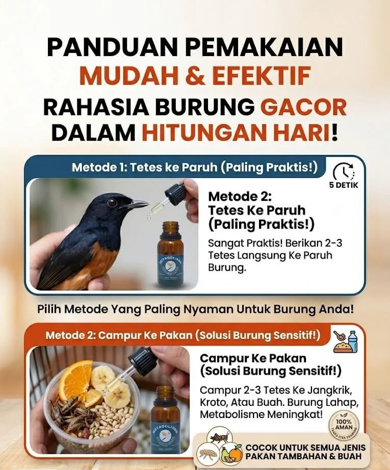 Cara Pemakaian Obat Burung