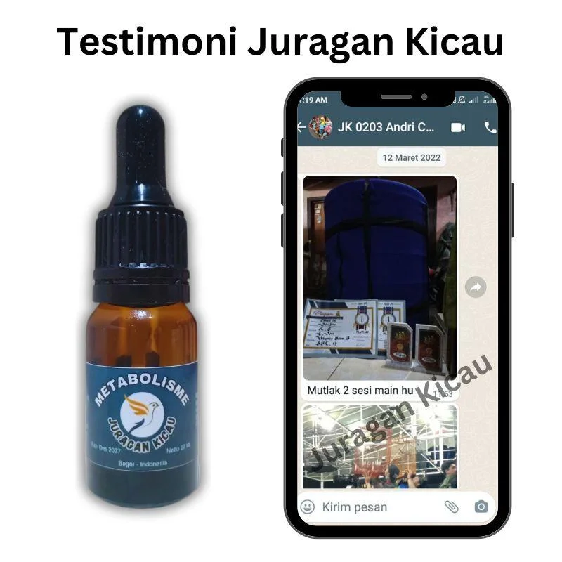 Testimoni 2
