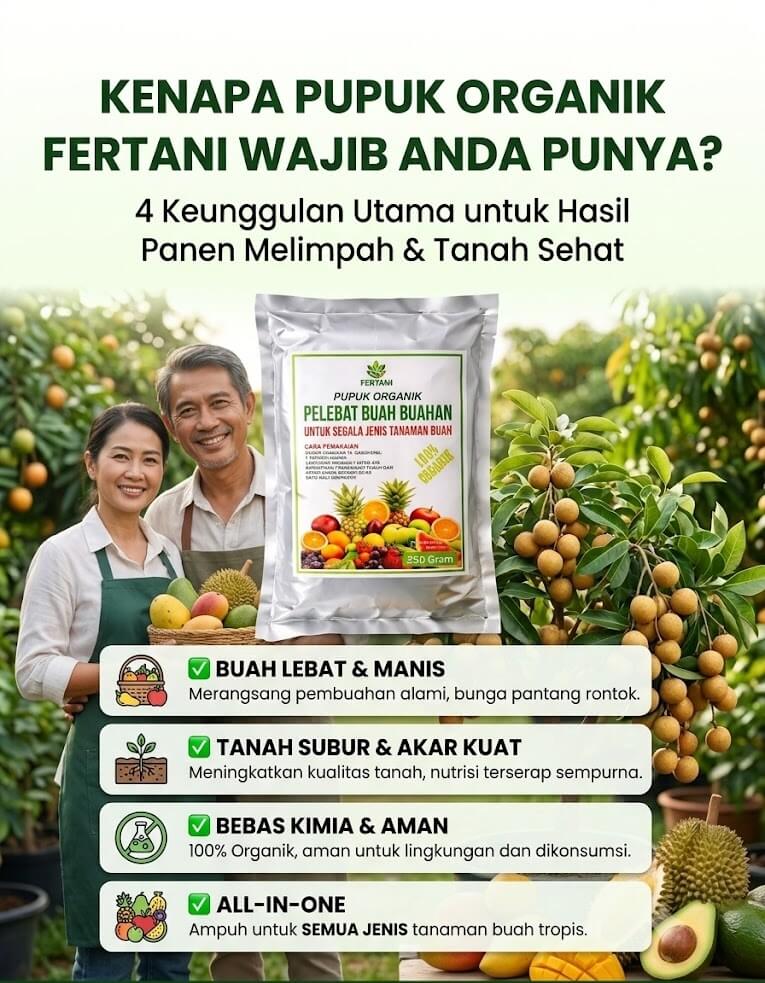 Manfaat Image