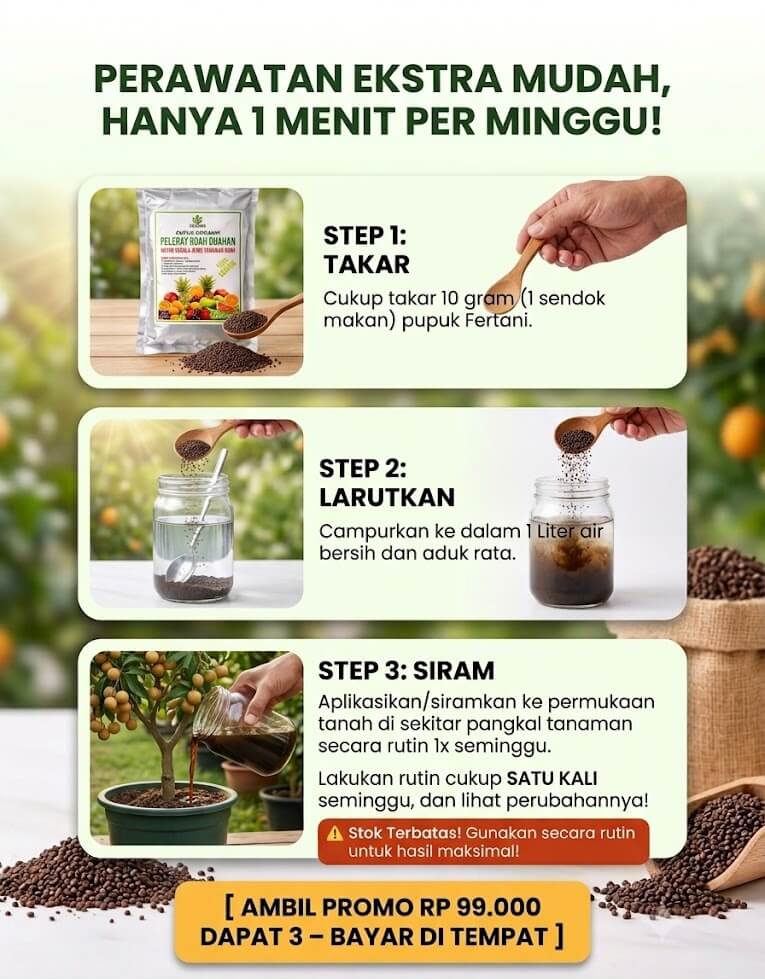 Cara Pakai Image
